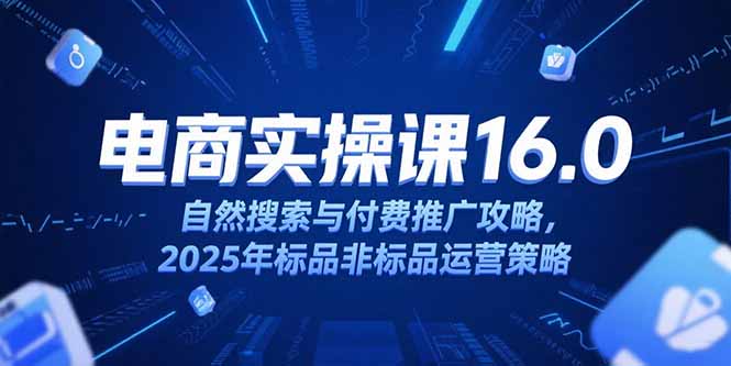 淘寶電商運營課16.0，自然搜索與付費推廣攻略，2025年標品非標品運營策略 - 嚴選資源大全