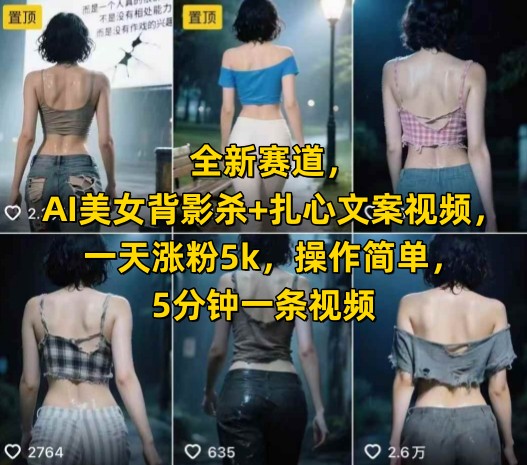 全新賽道,AI美女背影殺+扎心文案視頻,一天漲粉5k,操作簡單,5分鐘一條視頻 - 嚴選資源大全