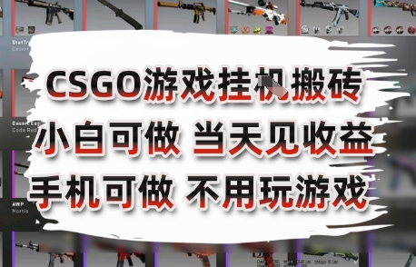 CSGO游戲掛G搬磚，小白純手機即可操作，不用電腦打游戲，日入3張+，副業網創項目【揭秘】 - 嚴選資源大全