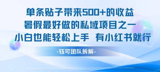 單條貼子帶來5張的收益，暑假最好做的私域項目之一，小白也能輕松上手，有小紅書就行 - 嚴選資源大全