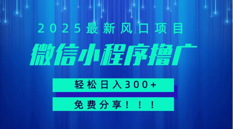 微信小程序擼廣，最新風(fēng)口項目，日入300+ 免費分享 可批量操作 小白可輕松上手！！ - 嚴(yán)選資源大全 - 嚴(yán)選資源大全