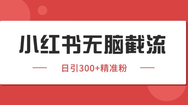 小紅書截流同行客源，獨家野路子獲客玩法 日引200+暴力獲客 - 嚴(yán)選資源大全 - 嚴(yán)選資源大全