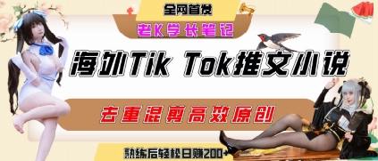 海外tiktok小說推文暴力項目,高停留率,高轉化率,上手后一天搞頓飯錢不是問題 - 嚴選資源大全