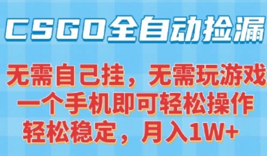 CSGO自動撿漏項目，最新獨家玩法，一個手機可操作，新手小白輕松月入1W+，操作簡單易上手【揭秘】 - 嚴選資源大全