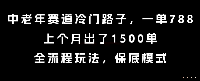 中老年賽道冷門路子,一單788,上個月出了1500單,全流程玩法,保底模式【揭秘】 - 嚴選資源大全