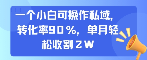 一個小白可操作私域，轉(zhuǎn)化率90%，單月輕松收割2W - 嚴選資源大全