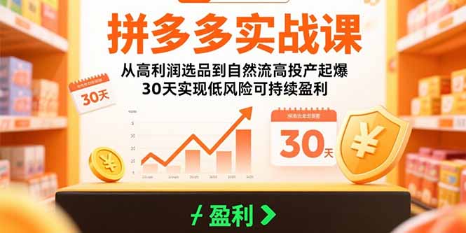 拼多多實戰課：從高利潤選品到自然流高投產起爆 30天實現低風險可持續盈利 - 嚴選資源大全