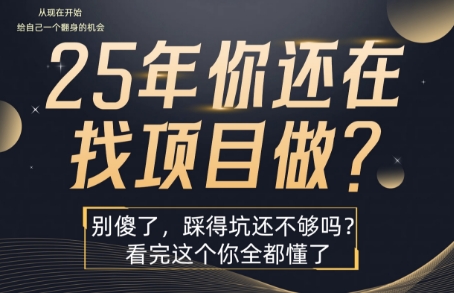 25年，你還在瘋狂的找項(xiàng)目嗎？別傻了，看完這個(gè)你都懂了【揭秘】 - 嚴(yán)選資源大全