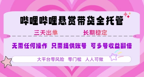 2025年B站風口帶貨項目 僅需提供賬號 全程托管 輕松月入1w+ - 嚴選資源大全