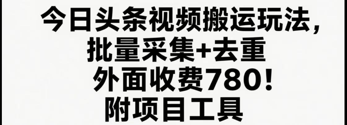 今日頭條視頻搬運玩法，軟件一鍵去重，輕松日入500+附項目工具 - 嚴選資源大全