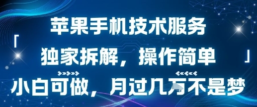 蘋果手機技術服務，獨家拆解，操作簡單，小白可做，月過1W不是夢 - 嚴選資源大全