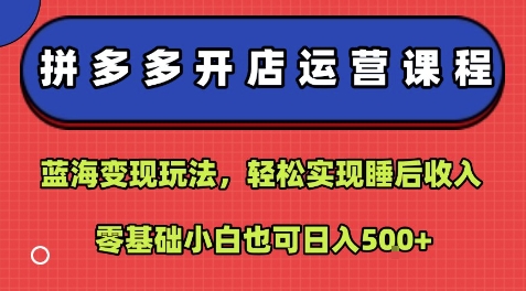 拼多多開店運營課程：藍海變現玩法，輕松實現睡后收入，零基礎小白也可日入5張 - 嚴選資源大全