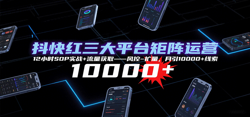 抖快紅三大平臺矩陣運營,12小時SOP實戰+流量獲取-風控-擴量,月引10000+線索 - 嚴選資源大全