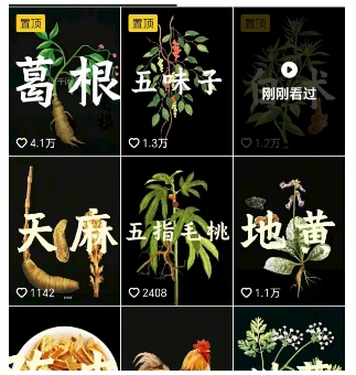 抖音中草藥賽道,用AI做中草藥故事視頻,45條作品漲粉13W,櫥窗帶貨猛猛出單