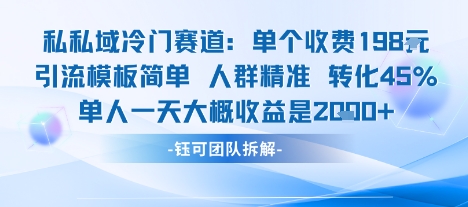 私域冷門賽道單個收費198米引流模板簡單人群精準 45%的轉化率單人一天大概收益多張 - 嚴選資源大全