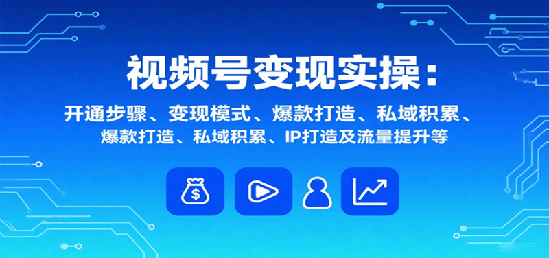 視頻號(hào)變現(xiàn)實(shí)操，含開(kāi)通步驟、變現(xiàn)模式、爆款打造、私域積累、IP打造及流量提升等 - 嚴(yán)選資源大全 - 嚴(yán)選資源大全