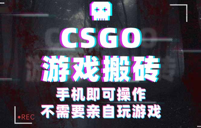 CSGO游戲掛機撿漏，單日掃貨500+，年底小高峰上車可吃肉，手機即可操作… - 嚴選資源大全
