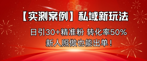 【實測案例】私域新玩法，日引30+精準粉，轉化率50%，新人照做也能出單！ - 嚴選資源大全