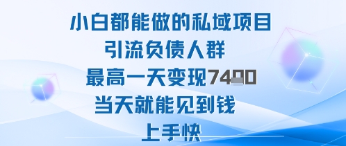 2025年小白都能做的私域項目引流負債人群最高一天變現1k+高變現難度低當天就能見到錢上手快 - 嚴選資源大全