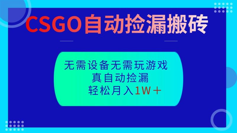 CSGO自動撿漏搬磚，當天操作當天見結果，無需了解游戲，包教包會包落地 - 嚴選資源大全 - 嚴選資源大全
